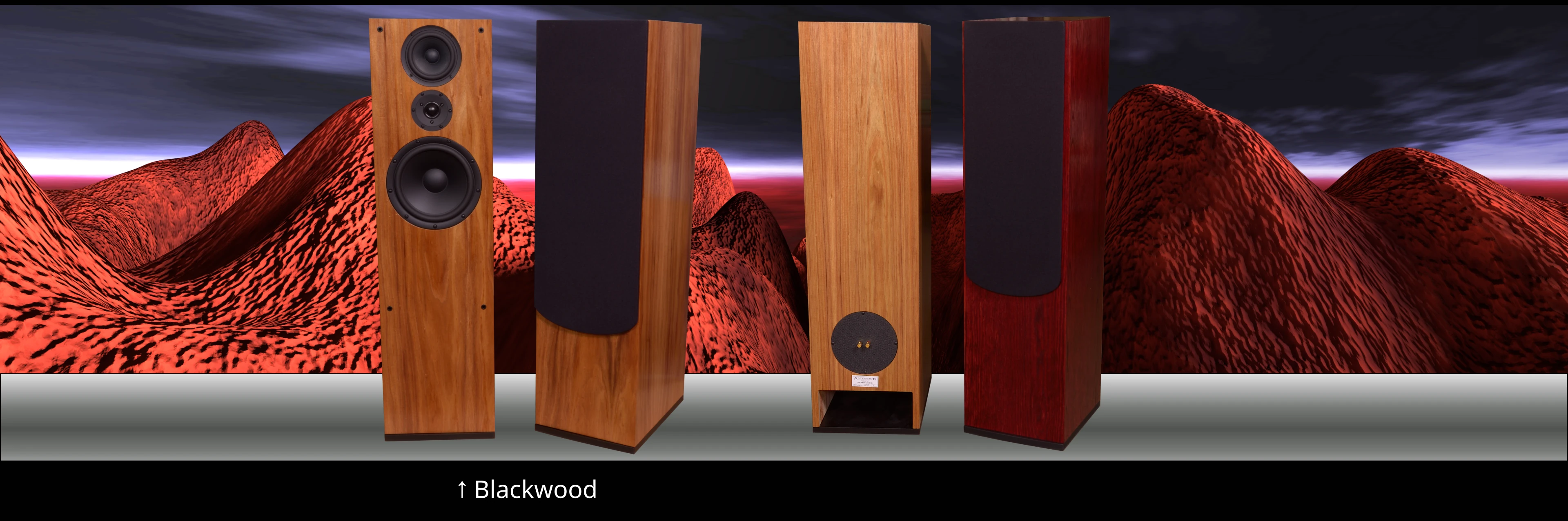 Summoner floorstander model 1093SaTL photos